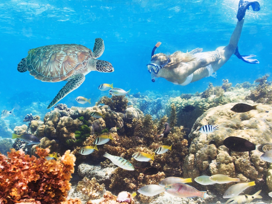 cabarete-snorkelling