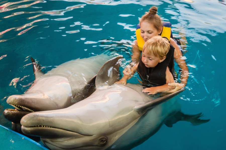 Mum with kid floats with dolphins in pool